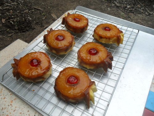 Nordic Ware Pineapple Upside Down Mini Cake Pan Home improvement / accessories
