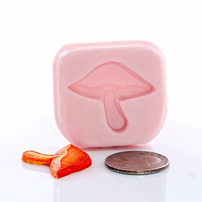 Tiny Mushroom Silicone Mold, Fondant, Candy, Chocolate, Food Safe, Polymer Clay, Resin Mold, Epoxy and so much... N6