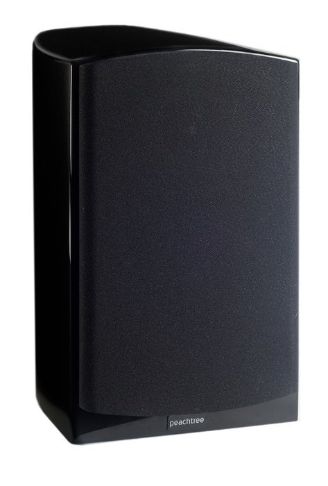 Peachtree Audio D5 Audiophile Bookshelf Speaker (Cherry) N2