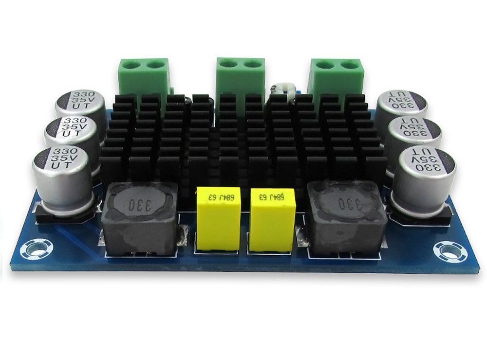 Qianson DC 12V24V TPA3116 D2 100W Mono Channel Digital Audio Power