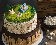 Camping Adventure Cake Topper Decorating Kit