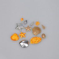 Sher Sea Shells Summer Beach CupCake Decoration Silicone Fondant Mold Sugarcraft Tools Polymer Clay Chocolate... N3