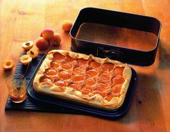 Kaiser Bakeware LaForme Plus 13- by 9-Inch Rectangular Springform Pan