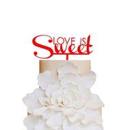 Sugar Yeti Brand Made in USA Cake Toppers God Gave Me You Wedding Cake Toppers Wedding Decoration Acrylic Cake... N54