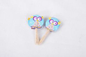 Cute Owls Cupcake Wrappers and Toppers - Set of 24 N3
