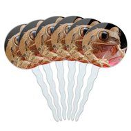 Set of 6 Cupcake Picks Toppers Decoration Reptiles Lizards Snakes Frogs - Marbled Reed Frog N4