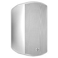 ATON O41W Storm Series Indoor/Outdoor Speaker, 4.25-Inch