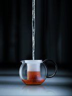 Bodum Assam 17-Ounce Tea Press N3