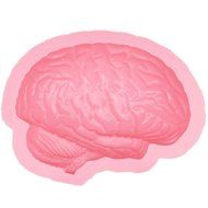 YX Silicone Cake Molds Tray - Brain Shapes for Cakes, Puddings, Jello and more (Pack of 2, Pink)