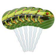 Set of 6 Cupcake Picks Toppers Decoration Reptiles Lizards Snakes Frogs - Marbled Reed Frog N9