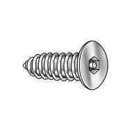Tamper Screw, Flat,x23;10,1x2f;2 L, PK25 - 1 Each