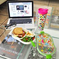 French Bull - Divided Lunch Container - Pack and Snack - Bento Lunch Box - Multidot N11