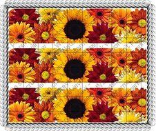 Modern Fall Sunflowers Thanksgiving - Cake Side Designer Strips - Edible Image Cake/Cupcake Party Topper!!! N2