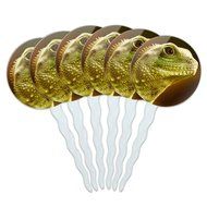 Set of 6 Cupcake Picks Toppers Decoration Reptiles Lizards Snakes Frogs - Marbled Reed Frog N12