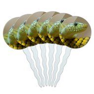 Set of 6 Cupcake Picks Toppers Decoration Reptiles Lizards Snakes Frogs - Marbled Reed Frog N15