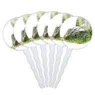 Set of 6 Cupcake Picks Toppers Decoration Reptiles Lizards Snakes Frogs - Marbled Reed Frog N16