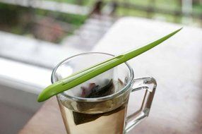 Kikkerland Fish Tea Infuser and Drip Tray, Silver N7