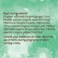 Earth Mama Angel Baby Organic Morning Wellness Tea, 16 Teabags/Box (Pack of 3)