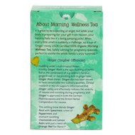 Earth Mama Angel Baby Organic Morning Wellness Tea, 16 Teabags/Box (Pack of 3) N4