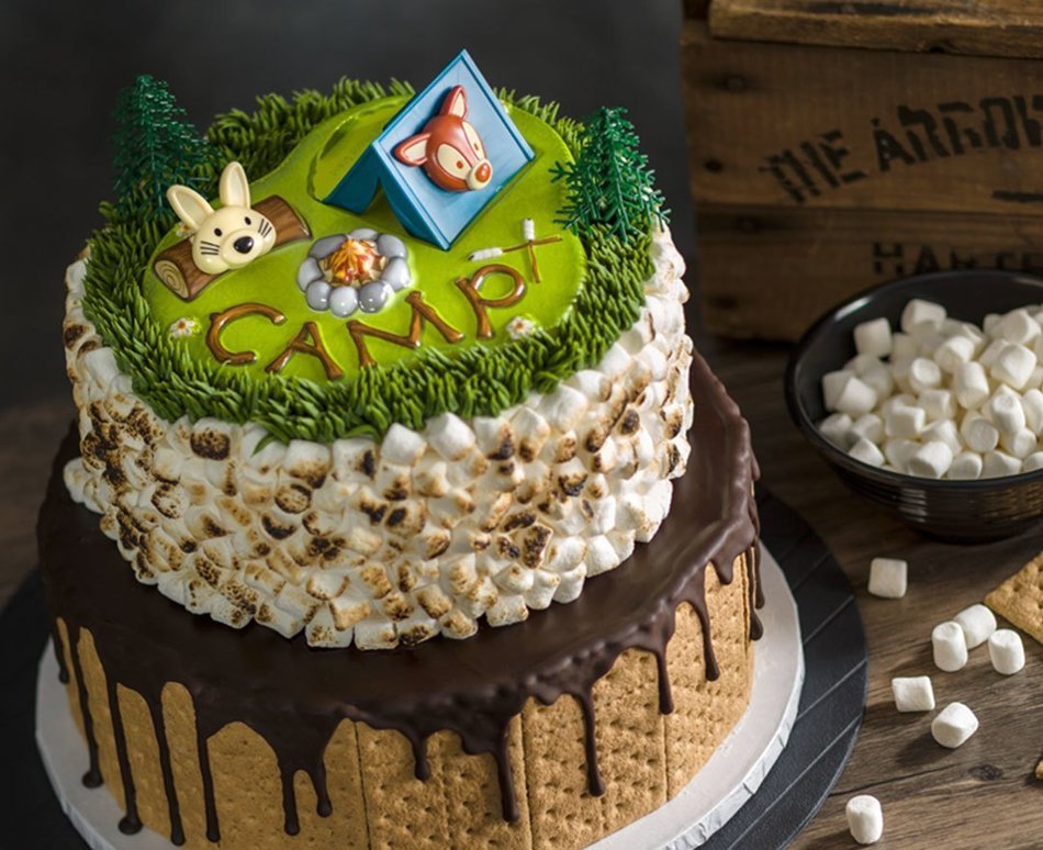 Camping Adventure Cake Topper Decorating Kit