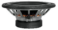 12 Dual Voice Coil Subwoofer N2