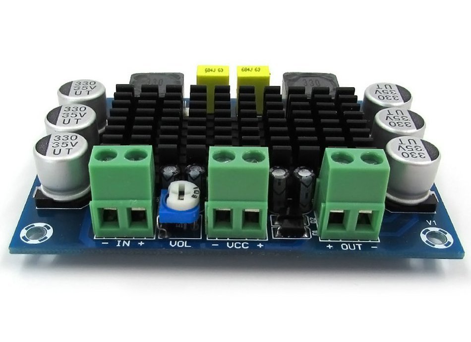 Qianson DC 12V-24V TPA3116 D2 100W Mono Channel Digital Audio Power Amplifier Board car N7