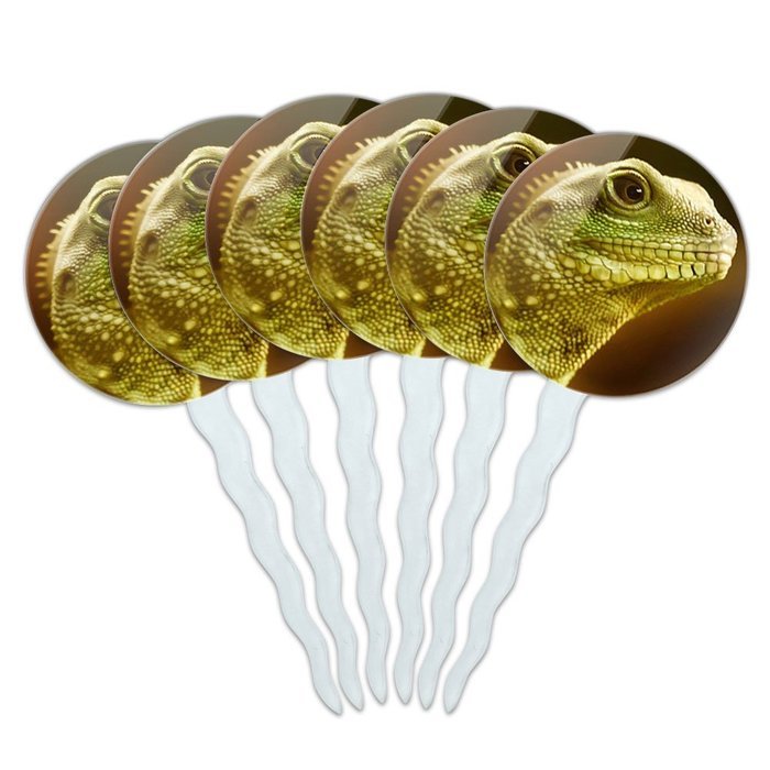 Set of 6 Cupcake Picks Toppers Decoration Reptiles Lizards Snakes Frogs - Marbled Reed Frog N12