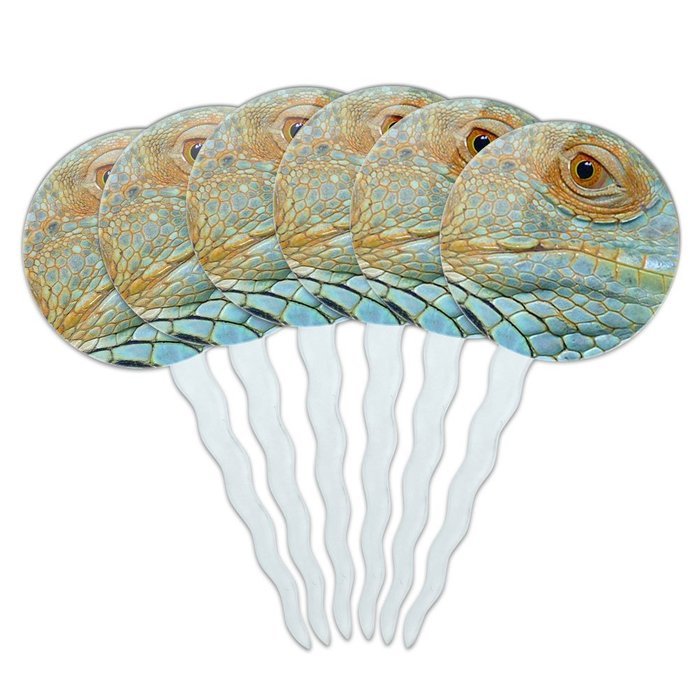 Set of 6 Cupcake Picks Toppers Decoration Reptiles Lizards Snakes Frogs - Marbled Reed Frog N13