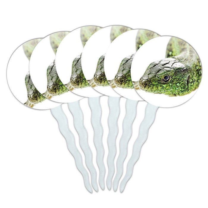 Set of 6 Cupcake Picks Toppers Decoration Reptiles Lizards Snakes Frogs - Marbled Reed Frog N16