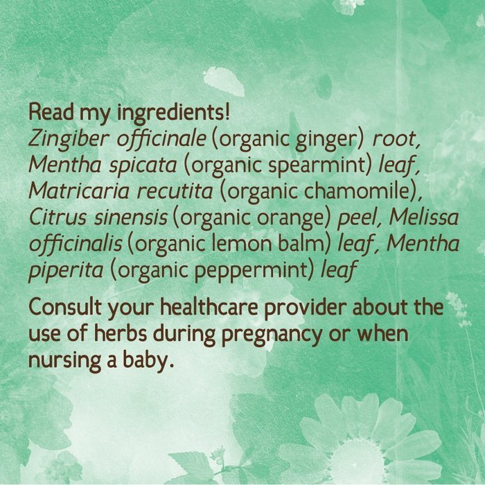 Earth Mama Angel Baby Organic Morning Wellness Tea, 16 Teabags/Box (Pack of 3)