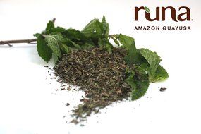 Runa Amazon Guayusa Traditional Tea, 1 Pound N3