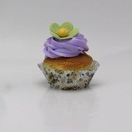 SophieBella 8 kinds Flower Muffin Liner Cupcake-Liner, 400 Count N27