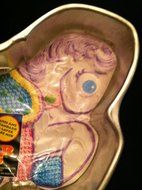 GS E-Z Baker Critter Cakes Pony Cake Pan