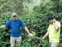 Don Gringo&acute;s Coffee Beans French (Dark) Roast Peruvian Andes&acute; Gourmet Arabica Selection. Single Origin Blend,... N9