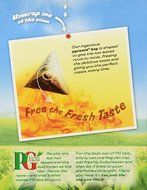PG Tips 160 Bags 3 Pack (480 Bags Total) N3