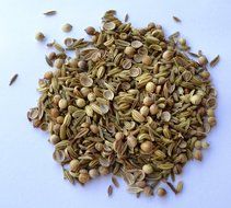 Organic Ayurvedic Cumin, Coriander and Fennel Tea - Stress Relief Detox Tea (Original, 1.5 oz.) N10