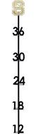 Henson Metal Works 2800-4 North Carolina State Collegiate Logo Snow Gauge