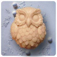 fantastic_008 Owl S0142 Craft Art Silicone Mold for DIY Handmade Soap Cake Chocolate Candy