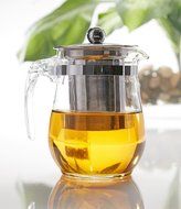 TeaLeava Clear Glass Tea Pot with Stainless Steel Infuser, 16 oz N5