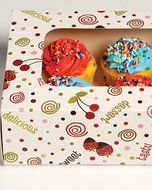 Sweet Treat Cupcake Gift Boxes - Set of 2 N2