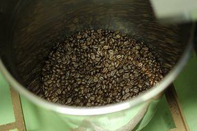 Wild Kopi Luwak Coffee - 50% SALE TODAY- Genuine High Quality Premium Civet Coffee Beans - Organic Natural and... N4