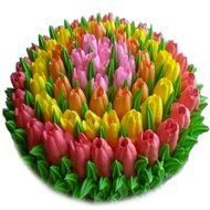 Luxebake Russian Piping Tips,15 piece set, - includes 8 Stainless Steel nozzles, 1 reusable and 5 disposable pastry...