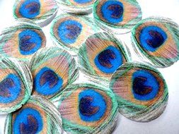 24 Green Feathered Edible Peacock Feathers SMALL Set - Cake and Cupcake Toppers, Decorations for Weddings Birthdays...