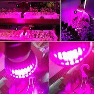LVJING Led Grow Light Bulb, Hanging Flood light Kit, Waterproof, for Indoor Garden Greenhouse Hydroponic Plants... N21