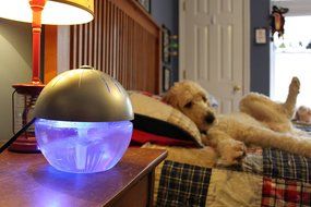 EcoGecko Earth Globe- Glowing Water Air Washer and Revitalizer with Lavender Oil, Silver N2