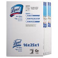 Lysol Triple Protection Furnace/AC Air Filter, 12" x 24" x 1", 2-Pack N31