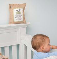 Two (2) Moso Natural Air Purifying Bags 1-200g and 1-500g (Natural) N5