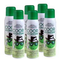 Odor Assassin 12 oz. Air Freshener Fine Mist Spray, Key Lime - 6 Pack