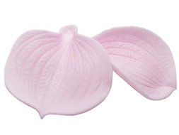 FOUR-C Baking Tools Petal Veiner Embossing Molds Silicone Cake Mold for Decorating Color Pink