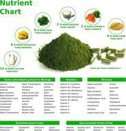 30 Moringa + Green Tea + Maca Root SuperFood Tea Bags | Original Blend &bull; Top Nutrition &amp; Benefits N2